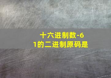 十六进制数-61的二进制原码是