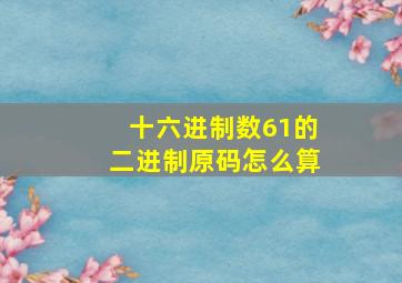 十六进制数61的二进制原码怎么算