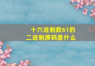 十六进制数61的二进制原码是什么