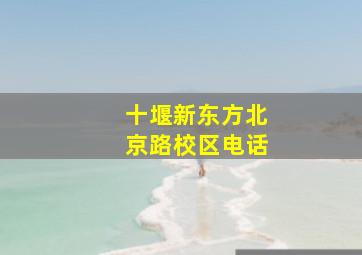 十堰新东方北京路校区电话