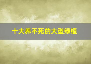 十大养不死的大型绿植