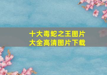 十大毒蛇之王图片大全高清图片下载