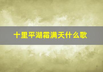 十里平湖霜满天什么歌