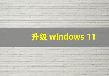 升级 windows 11