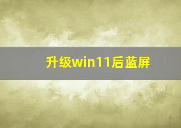 升级win11后蓝屏