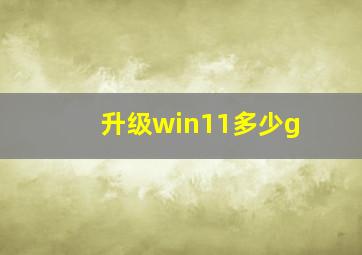 升级win11多少g