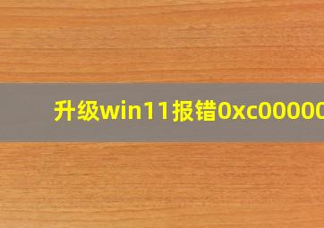 升级win11报错0xc0000005