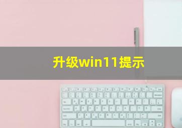 升级win11提示