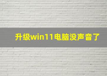 升级win11电脑没声音了