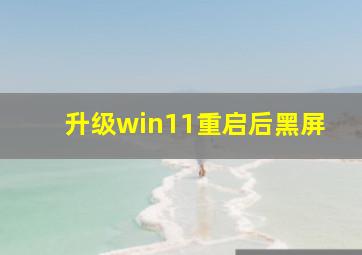 升级win11重启后黑屏