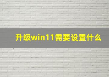 升级win11需要设置什么