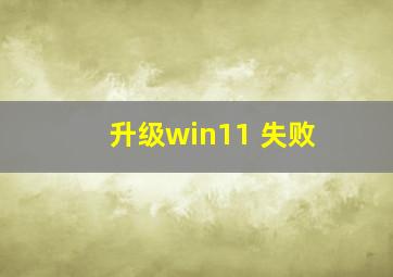 升级win11 失败