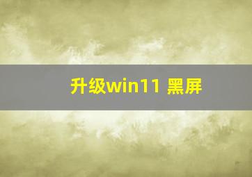 升级win11 黑屏