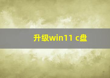 升级win11 c盘