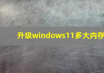 升级windows11多大内存