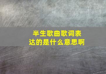 半生歌曲歌词表达的是什么意思啊