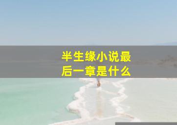 半生缘小说最后一章是什么