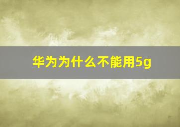 华为为什么不能用5g