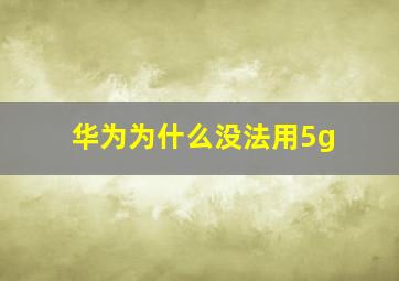 华为为什么没法用5g