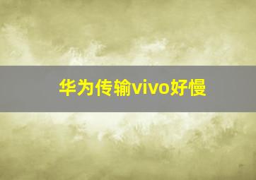 华为传输vivo好慢