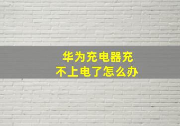 华为充电器充不上电了怎么办