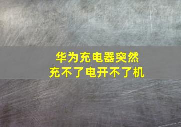 华为充电器突然充不了电开不了机