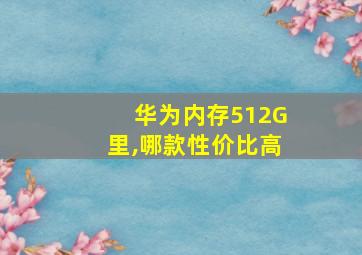 华为内存512G里,哪款性价比高