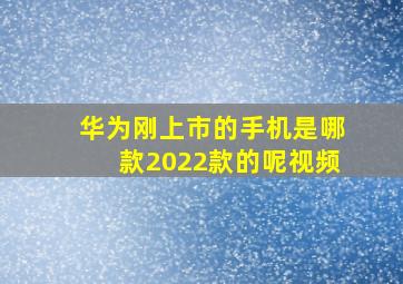 华为刚上市的手机是哪款2022款的呢视频