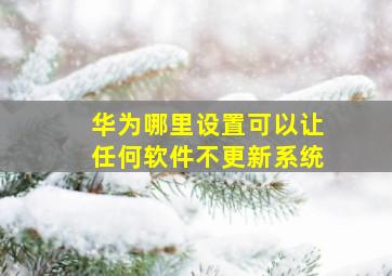 华为哪里设置可以让任何软件不更新系统