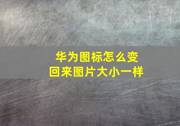 华为图标怎么变回来图片大小一样