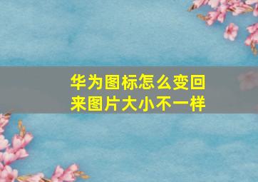 华为图标怎么变回来图片大小不一样