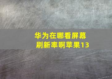 华为在哪看屏幕刷新率啊苹果13