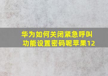 华为如何关闭紧急呼叫功能设置密码呢苹果12