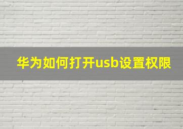 华为如何打开usb设置权限