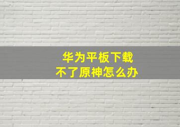 华为平板下载不了原神怎么办