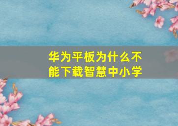 华为平板为什么不能下载智慧中小学