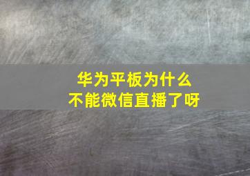 华为平板为什么不能微信直播了呀