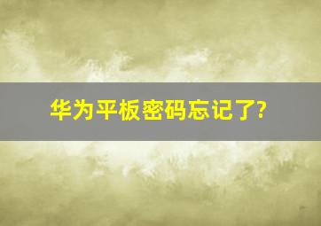 华为平板密码忘记了?