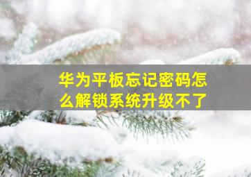 华为平板忘记密码怎么解锁系统升级不了