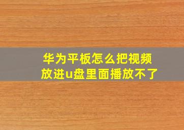 华为平板怎么把视频放进u盘里面播放不了