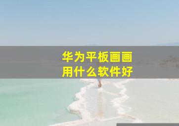 华为平板画画用什么软件好