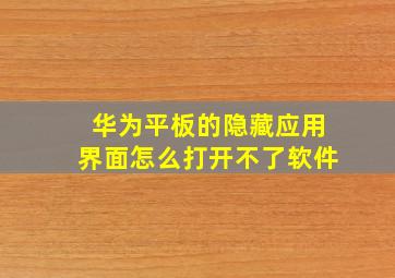 华为平板的隐藏应用界面怎么打开不了软件