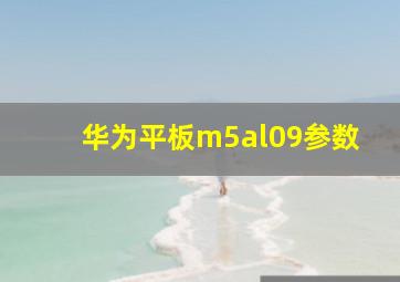 华为平板m5al09参数