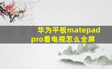 华为平板matepad pro看电视怎么全屏