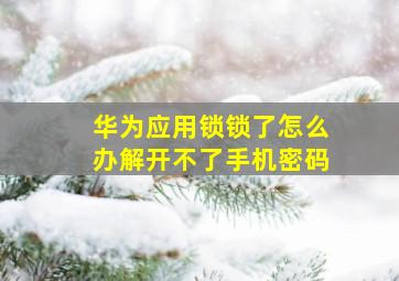 华为应用锁锁了怎么办解开不了手机密码