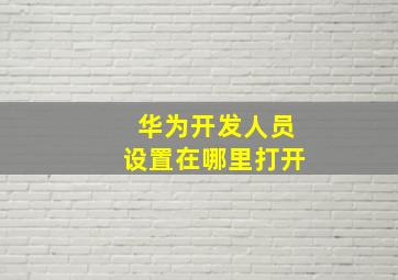 华为开发人员设置在哪里打开