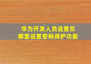 华为开发人员设置在哪里设置密码保护功能