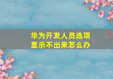 华为开发人员选项显示不出来怎么办