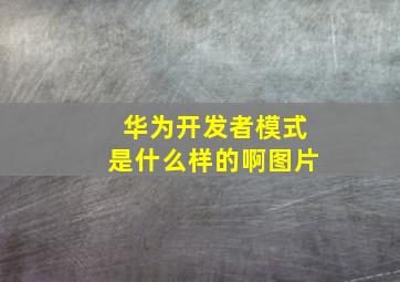 华为开发者模式是什么样的啊图片