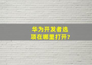 华为开发者选项在哪里打开?